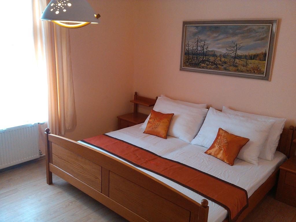 Pension Vidhous 1 Frantiskovy Lazne Exterior photo